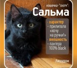 Сальма - пантерка