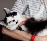 Доня - скромная красавица 