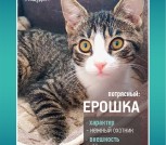 Ерошка - крошка в дар