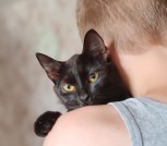 Милая кошечка Мариса ищет дом 